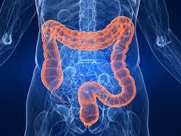 Benefici della disintossicazione intestinale